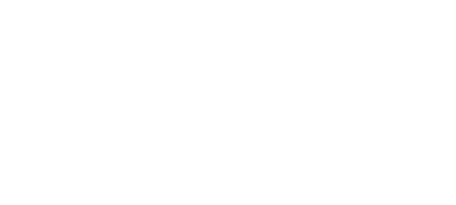 pilgrim electrical services logo upscaled white